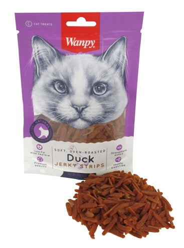 Spijsvertering katten