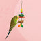 Foerageren vogels