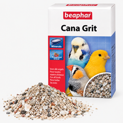Vogelzand & grit