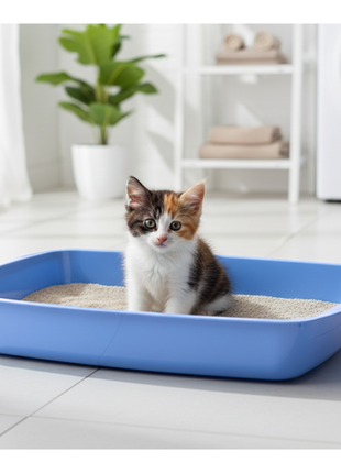 Savic Katzentoilette flach