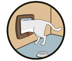 Karlie CAT FLAP Katzentür