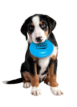 Karlie Flamingo Welpen Frisbee - Blau, 12 cm