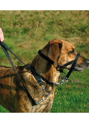 Trixie Top Trainer Ausbildungsgeschirr