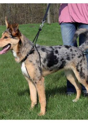 Trixie Easywalk Basic Erziehungsgeschirr