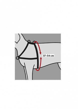 Trixie Trainingsgeschirr Lead'n'Walk Soft - XS-S