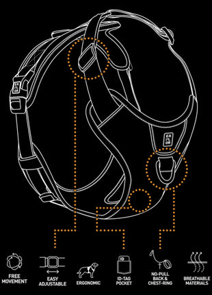 Duvoplus EXPLOR Ultimate Fit No-Pull-Geschirr