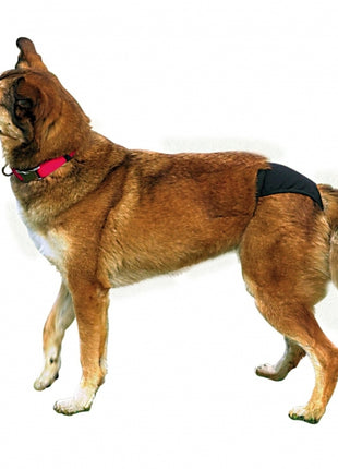 Trixie Schutzhöschen