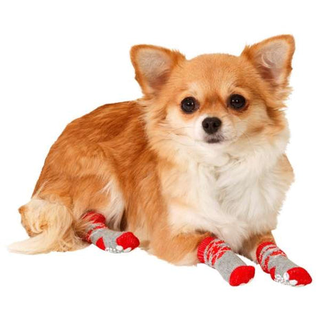 Karlie Doggy Socks Hundesocken 4er Set