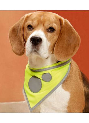 Karlie Safety Dog Sicherheitshalstuch