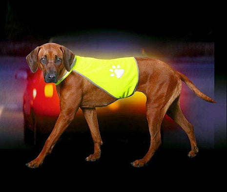 Karlie SAFETY-DOG Sicherheitsweste