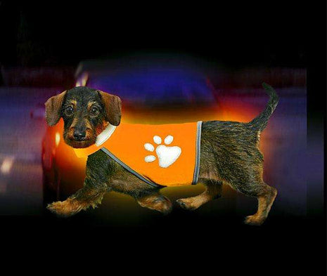 Karlie SAFETY-DOG Sicherheitsweste