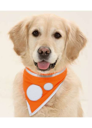 Karlie Safety Dog Sicherheitshalstuch