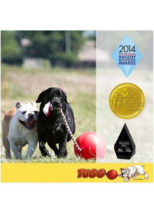 Tuggo Teeny Tiny Ball - 4 Inch (ca. 10 cm)