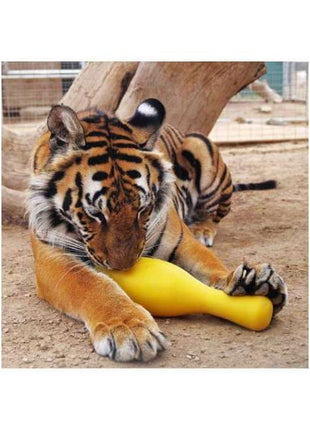 Tuggo Shake N Fetch - Large
