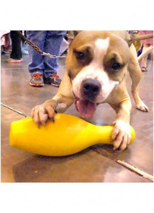 Tuggo Shake N Fetch - Small