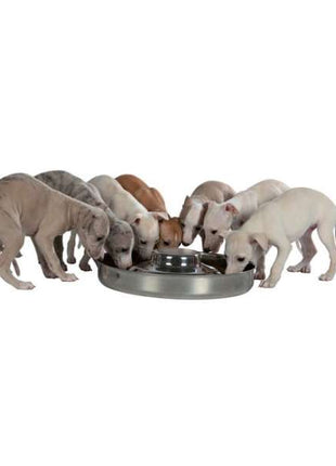 Trixie Edelstahl-Welpennapf - 4,0 l / 38 cm