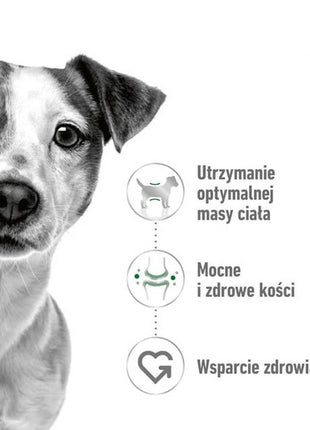 Royal Canin Mini Adult karma sucha dla psów dorosłych, ras małych 2kg