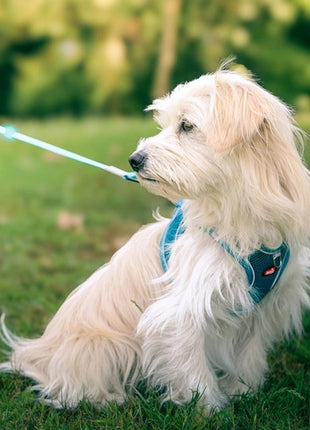 Zolux Szelki oddychające z siatki L granatowe