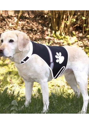 Trixie Flash Sicherheitsweste für Hunde