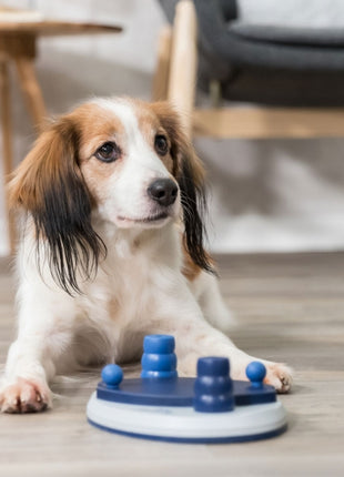 Trixie Dog Activity Push Away Strategiespiel