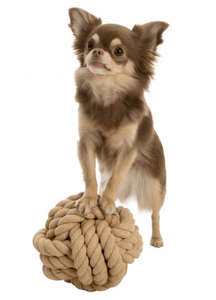 Trixie BE NORDIC Tau-Ball für Hunde