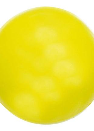 Trixie Ball aus Naturgummi