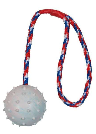 Trixie Naturgummiball am Seil