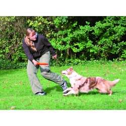 Trixie Dog Disc Frisbee bissfest