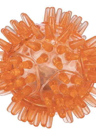 Trixie Blink-Igelball aus TPR