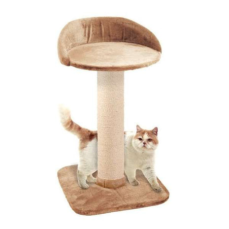 Karlie Kratzbaum BIG CAT 2