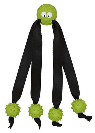 Trixie Ball mit Gurtbeinen und Igelbällen