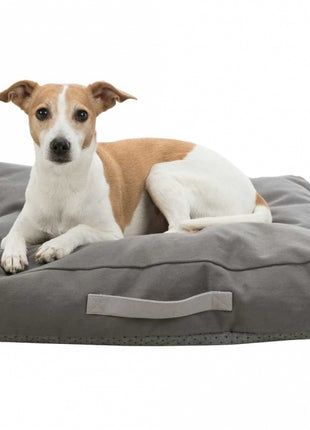 Trixie Be Eco Kissen Danilo - 55 x 55 cm