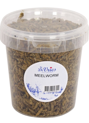 De Vries Meelworm Black Soldier Fly