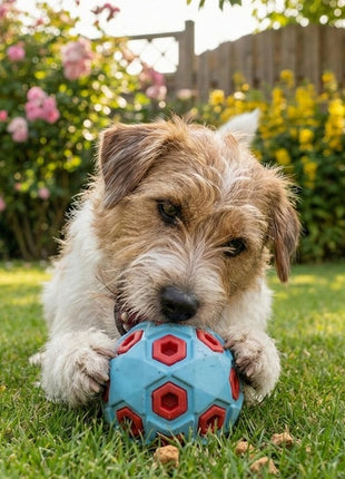 Zolux Zabawka na przysmaki do aportowania piłka 8cm