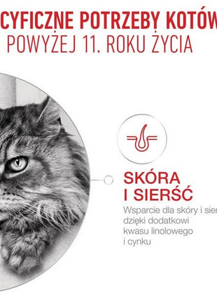 Royal Canin Ageing +11 karma mokra dla kotów dojrzałych w galaretce saszetka 85g