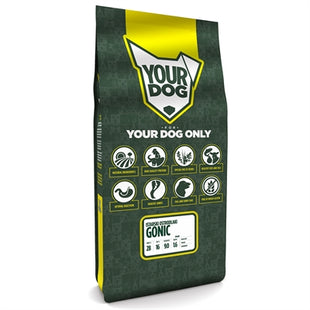 Yourdog Istarski Ostrodlaki Gonic Pup