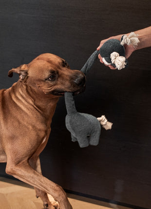 D&D Hundespielzeug Chenille George