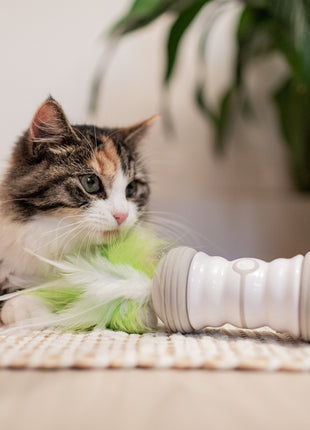 EBI Cat Toy Double Spinner