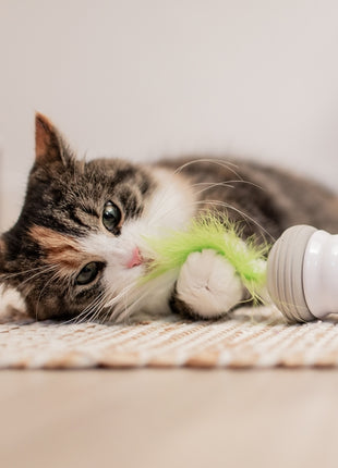 EBI Cat Toy Double Spinner