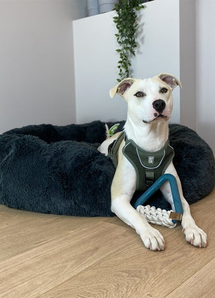 D&D Hundespielzeug Milan