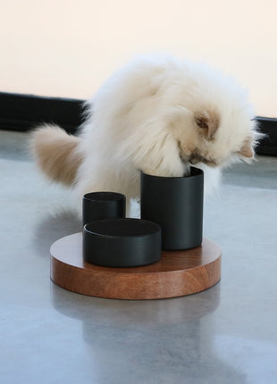 D&D Futtertablett IGGY mit 3 Ebenen