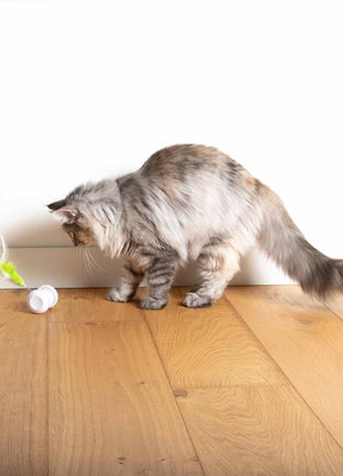 EBI Cat Toy Racing Roller