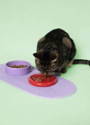 Coockoo Futternapf FUNKY FEEDING