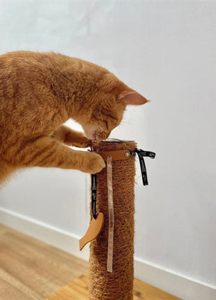 Martin leana kicker kattenspeeltje