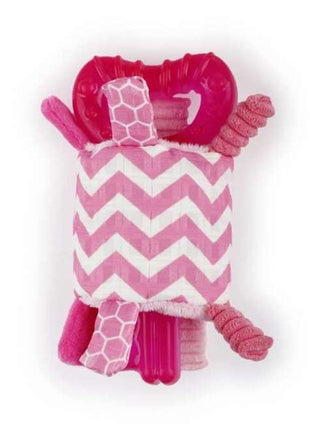 All for Paws Little Buddy - Teething Key Rosa