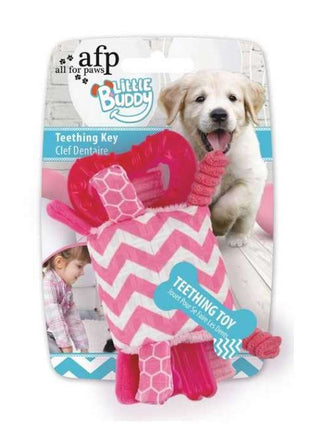 All for Paws Little Buddy - Teething Key Rosa