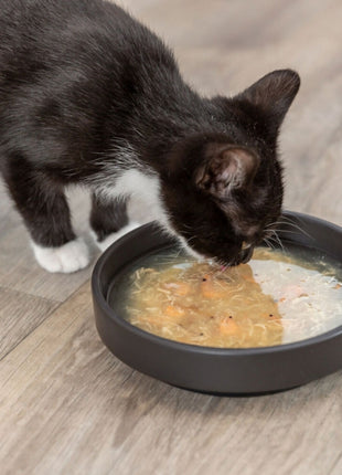 Trixie Kittis Salmon Soup - 4 × 80 g