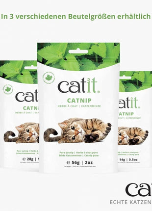 Catit Echte kanadische Katzenminze