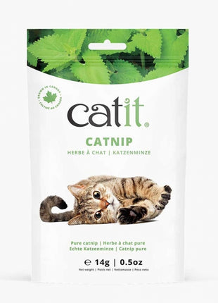 Catit Echte kanadische Katzenminze
