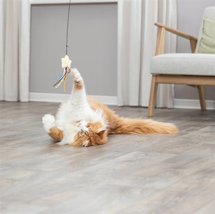 Trixie Kattenhengel Ster Kunststof / Pluche Met Catnip